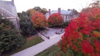 Fall at Haverford College