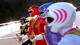 Power Rangers Wild Force  LIVE 24/7 | Power Rangers Official