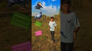 Parle-G to, kauwa, kabutar, tota ,& mor,  new bird name magic VFX video // #short