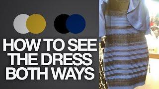 How to see The Dress BOTH ways (Black & Blue or White & Gold) | Toy Life