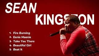 "Vibin' with Sean Kingston: Hits That Ignite Your Soul!"