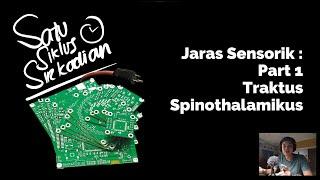 Jaras/Traktus/Sistem Saraf Sensorik (Part 1) - Traktus Spinothalamikus Anterior & Lateral