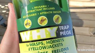 Trap WASPS HORNETS AND YELLOWJACKETS with The W.H.Y TRAP and get ride of them for good!