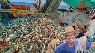 Wow We Caught Millions of Mackerel, Crabsand Trevally Fish in a Single Day!" Deep sea fishing.