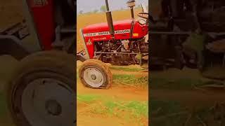 #tatar #tatarvideo #shorts #viral #massey #masseyvideo #masseylover #jat #jaat #jaatjamidar