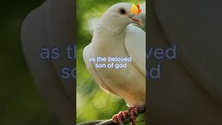 TEACHING OF THE GOSPEL: MARK 1, 7 TO 11 #faith #jesus #life #love #gospel #church #bible #truth