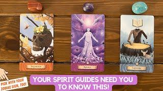 Your Spirit Guides Need You To Know This! | Timeless Reading