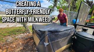 Building My Own Butterfly Haven: Screened Milkweed Garden Box Edition!