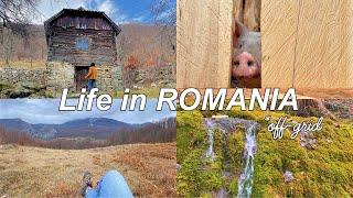 Life in ROMANIA in the Mountains, Off-Grid Romanian Homstead, Silent Vlog