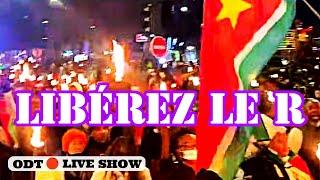 RPPRACMarche au flambeau à Paris réclamant la libération de [ LE R RODRIGUE PETITOT ]