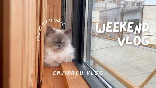 Weekend Vlog- Cat cafe, food, and apartment hunting in Japan