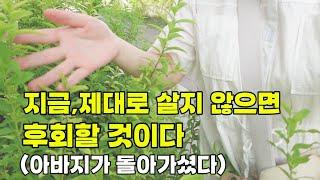 반지하 브이로그-아버지가 돌아가셨다,지금 현재에 충실해야 하는 이유,내가 바랬던 삶,삶다운 삶을 살아야 하는 이유