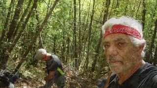 Falesia di Capolaterra Vallone di Lisciano (RI)