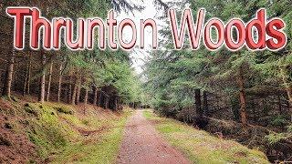 Trail trek Thrunton woods Northumberland hiking walking