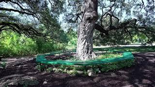 Bull Creek District Park