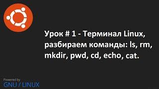 Видео урок 1   Терминал Linux команды : ls, rm, mkdir, pwd, cd, echo