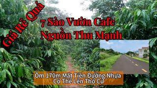 Bán Đất Vườn Cà Phê Đắk Nông 7 Sào – Nguồn Thu Mạnh, 170m Mặt Tiền Đường Nhựa, Khu Dân Cư Đông!