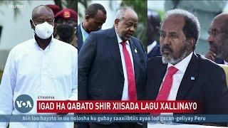 Itoobiya oo IGAD ka dalbatay shir ku saabsan xiisadda Soomaaliya