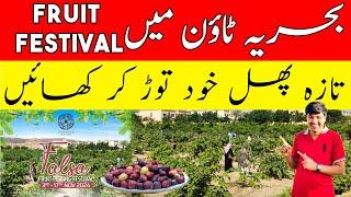 Fruit Festival In Bahria Town Karachi | Come for Entertainment & Eat Fresh Fruit | Visitors Guide