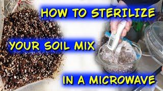 How to sterilize your soil mix in a microwave