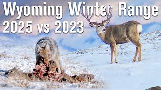 Deer numbers are up! 2025 Winter Range Update