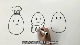 《柴知道》科普：癌症是如何产生的？