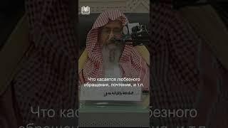 "Как относиться к рафидитам [шиитам]" - Шейх Салих аль-Фаузан حفظه الله #ислам #ученые #фаузан