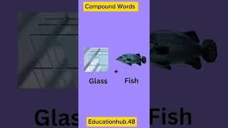 Literal VS Reality English compound words| #englishvocabulary #learnenglish #dailyenglish #esl