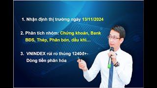 Nhận định thị trường ngày 13/11/2024. VNINDEX – rủi ro xuyên thủng 1240đ+-, dòng tiền phân hóa