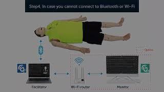 ALS Cardiac Training Model, BT Inc - BT-ACTB-L