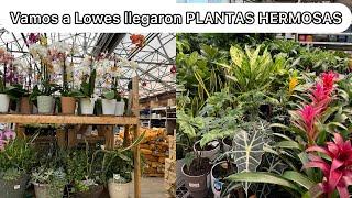 Llegaron MUCHAS PLANTAS Hermosas vamos a Lowes de Charlotte NC