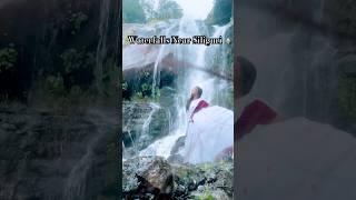 WaterFalls Near Siliguri #northbengal #siliguri #waterfalls #kurseong  #shorts #ytshorts #fyp