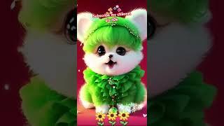wo mera nabi hy beautiful nat Sharif #animallife #shortsvideo #cuteanimal #shortsviral #cutecat
