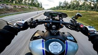 WHEELIE MACHINE | YAMAHA MT 09 SP AKRAPOVIC + QUICKSHIFTER [4K]