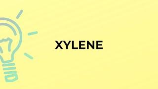 What is the meaning of the word XYLENE?