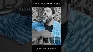 WISH YOU WERE HERE auf BAIRISCH #liedermacher #mathiaskellner #mundart #bairisch #heimatsound