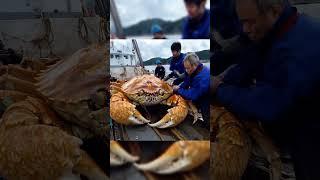 big crab #ytshorts #fishing #deepsea #deepocean #crab #ocean #amazing #ai #pacific