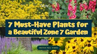 7 Must Have Plants for a Beautiful Zone 7 Garden  // Gardening