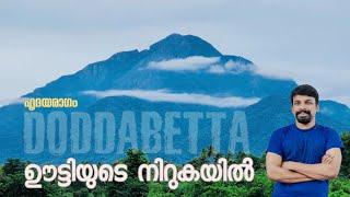 Ooty Tourist Places | Doddabetta Peak, Rose Garden Ootty & Ooty Boat House & Lake By HRIDAYARAGAM