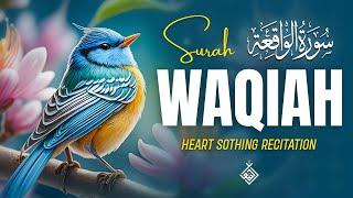 Harmonious Surah Al Waqiah سورة الواقعة | Calm Reflections for a Quiet Mind | Al-Taqwa TV