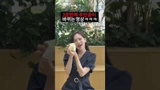 노원구청 종이접기의 달인