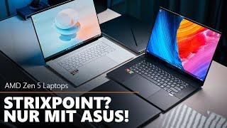 AMD Strixpoint exklusiv für Asus? Zen5 im Notebook-Überblick.