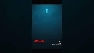 Phobia Of The Ocean..{Thalassophobia}#shorts #phobias #fears #ocean