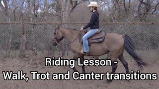 Riding Lesson - Walk, trot and Canter transitions