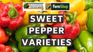 Tips on Growing Sweet Peppers