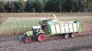 Mais Häckseln 2022 | Fendt | Krone | LU Marco von Glahn