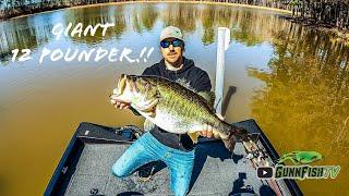 HUGE 12 POUND BASS Caught While FISHING a HIDDEN LAKE!! || BASS OF A LIFETIME!!!