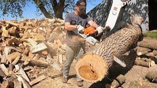 #140 Cutting Firewood : This must be Heaven