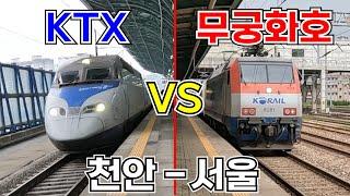 [KTX VS 무궁화호] 천안역을 출발한 무궁화호를 KTX를 타고 쫓아가면 서울역에 먼저 도착할 수 있을까?