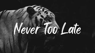 Three Days Grace - Never Too Late (Lyrics)